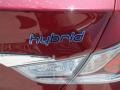 Venetian Red Pearl - Sonata Hybrid Photo No. 6