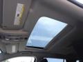 Summit White - Terrain Denali Photo No. 23