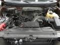 2011 Golden Bronze Metallic Ford F150 XLT SuperCrew 4x4  photo #13