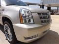 Silver Coast Metallic - Escalade Premium Photo No. 14