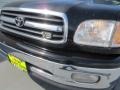2001 Black Toyota Tundra Limited Extended Cab 4x4  photo #10