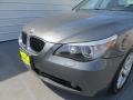 2007 Amethyst Grey Metallic BMW 5 Series 530i Sedan  photo #10