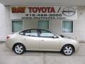 2007 Laguna Sand Beige Hyundai Elantra GLS Sedan  photo #1