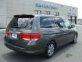 Nimbus Gray Metallic - Odyssey Touring Photo No. 4