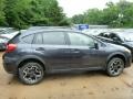 2013 Dark Gray Metallic Subaru XV Crosstrek 2.0 Premium  photo #5