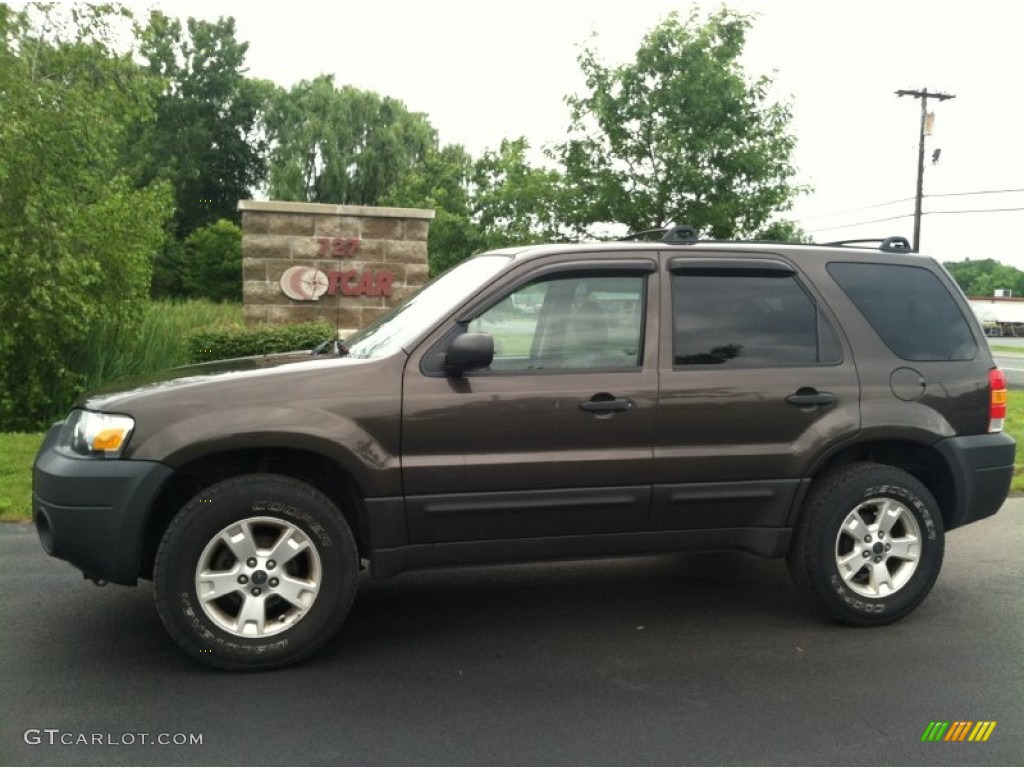 2006 Escape XLT 4WD - Dark Stone Metallic / Medium/Dark Flint photo #1