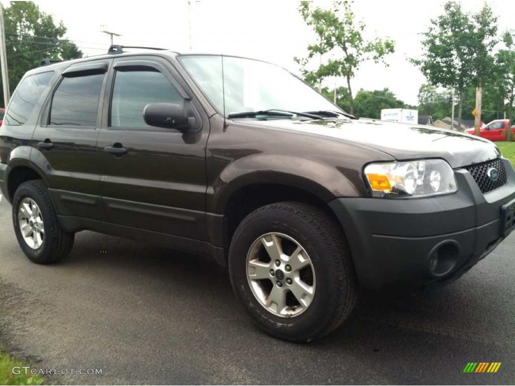 2006 Escape XLT 4WD - Dark Stone Metallic / Medium/Dark Flint photo #4