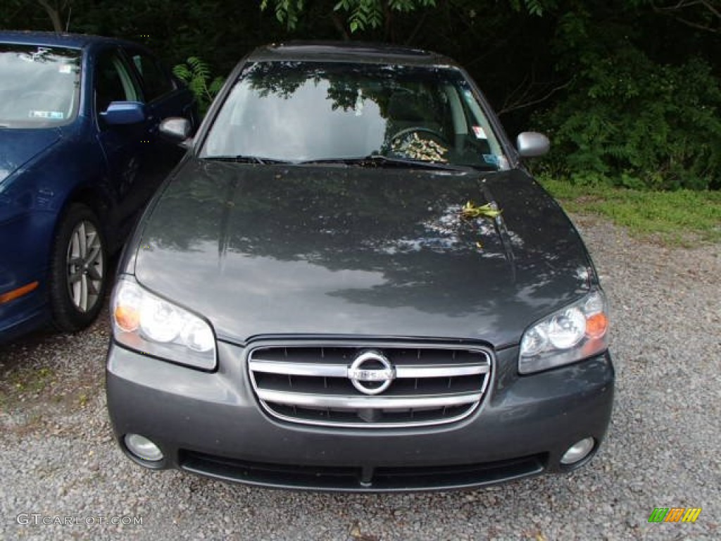 2003 Maxima SE - Gray Lustre / Black photo #2