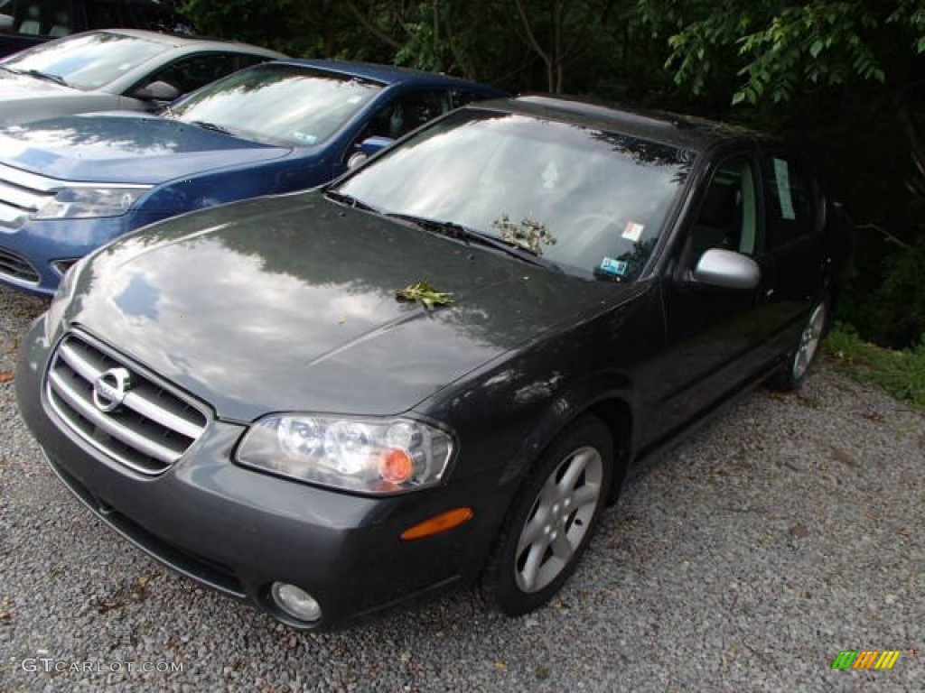 2003 Maxima SE - Gray Lustre / Black photo #3