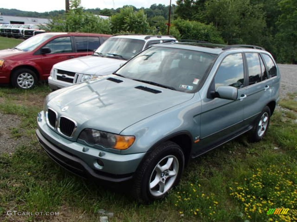 Grey Green Metallic 2003 BMW X5 3.0i Exterior Photo #82874444