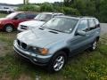 Grey Green Metallic 2003 BMW X5 3.0i Exterior