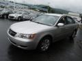 Bright Silver - Sonata GLS Photo No. 5