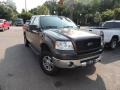 2006 Dark Stone Metallic Ford F150 XLT SuperCab 4x4  photo #1