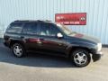 Dark Gray Metallic - TrailBlazer LS 4x4 Photo No. 2