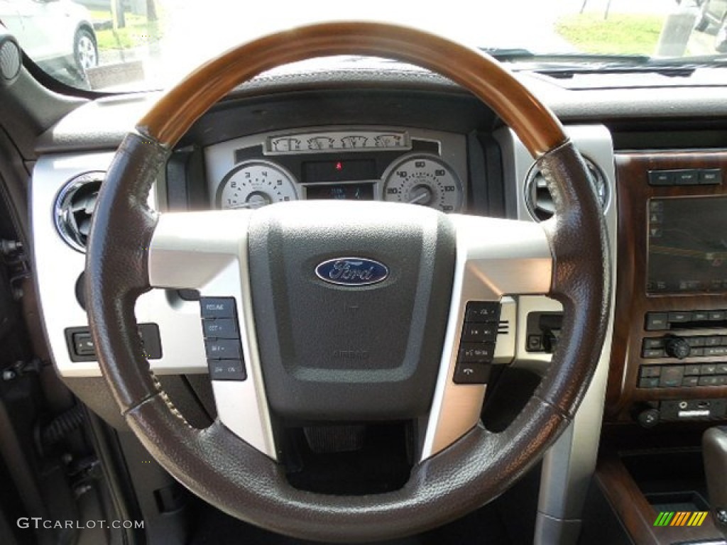 2009 Ford F150 Platinum SuperCrew 4x4 Steering Wheel Photos