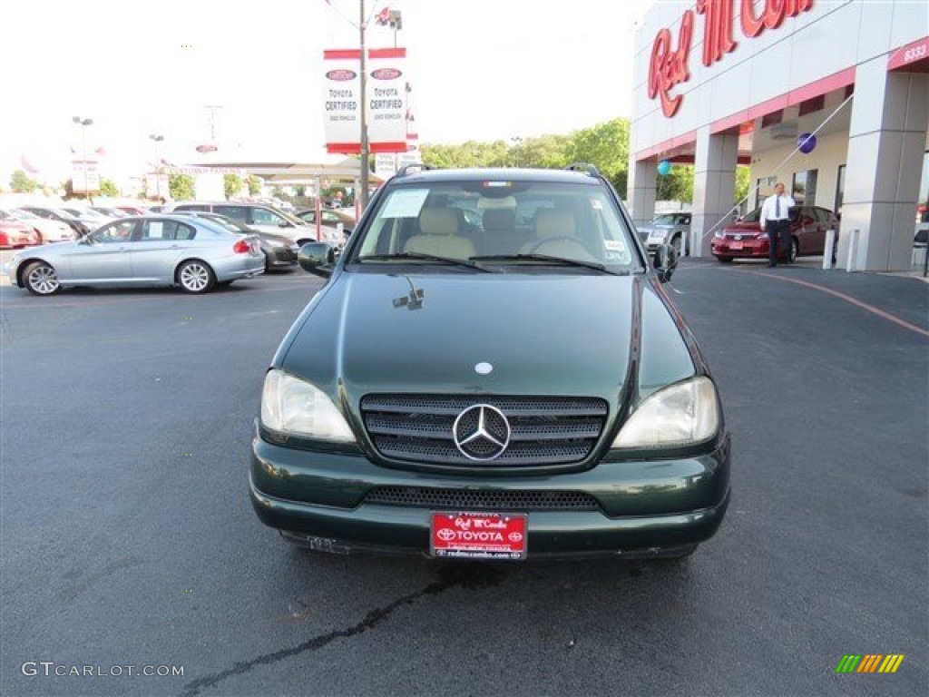2001 ML 320 4Matic - Cypress Green Metallic / Java photo #2