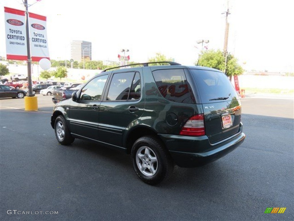 2001 ML 320 4Matic - Cypress Green Metallic / Java photo #5