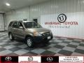 Mojave Mist Metallic - CR-V EX 4WD Photo No. 1