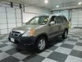 Mojave Mist Metallic - CR-V EX 4WD Photo No. 3