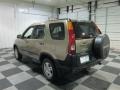 Mojave Mist Metallic - CR-V EX 4WD Photo No. 5