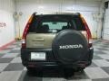 Mojave Mist Metallic - CR-V EX 4WD Photo No. 6