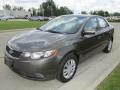 2010 Bronze Kia Forte EX  photo #7