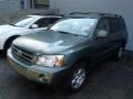 Oasis Green Pearl - Highlander 4WD Photo No. 3