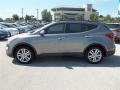 Mineral Gray - Santa Fe Sport 2.0T Photo No. 3