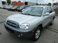 2005 Smart Silver Hyundai Santa Fe LX 3.5 4WD  photo #7