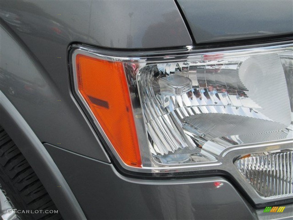 2010 F150 Platinum SuperCrew - Sterling Grey Metallic / Medium Stone Leather/Sienna Brown photo #3