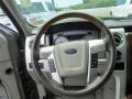 2010 Sterling Grey Metallic Ford F150 Platinum SuperCrew  photo #15