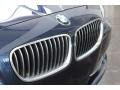 2013 Deep Sea Blue Metallic BMW 5 Series 528i Sedan  photo #10