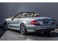 2007 Diamond Silver Metallic Mercedes-Benz SL 550 Roadster  photo #10