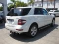 Arctic White - ML 350 BlueTEC 4Matic Photo No. 2