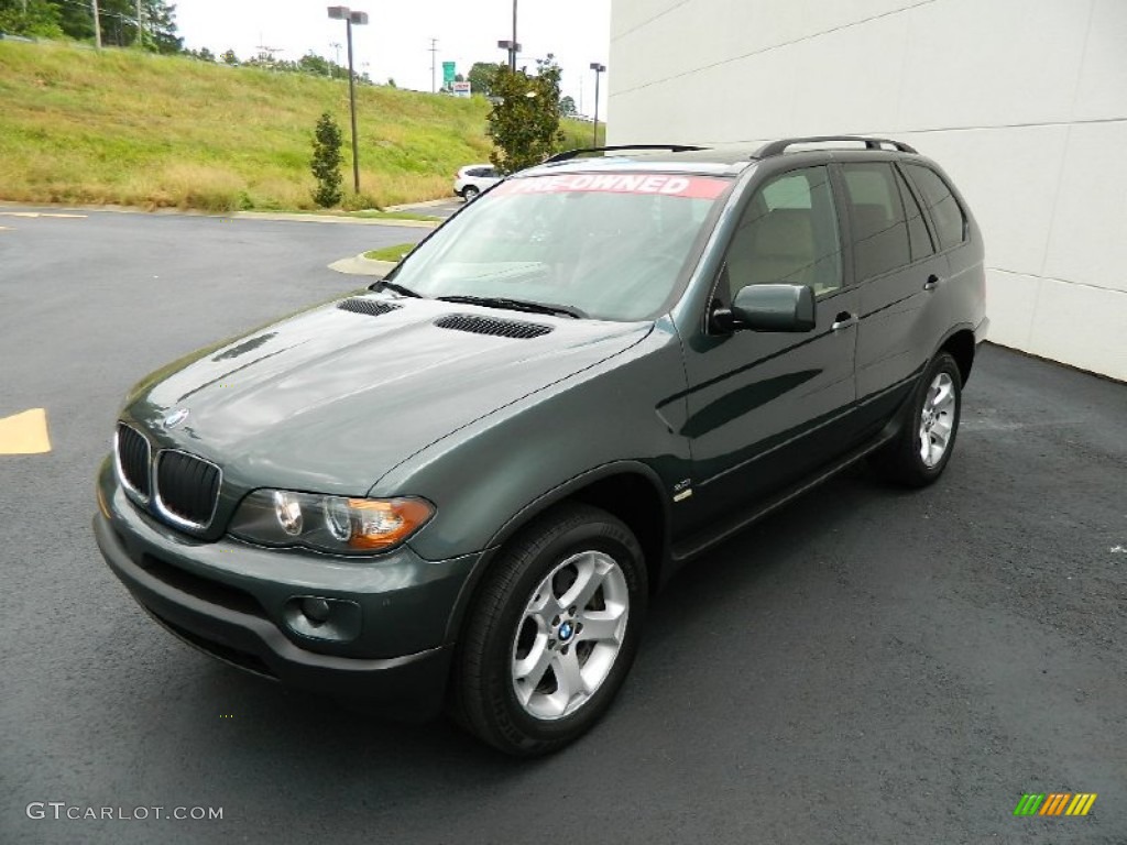 2005 Bmw x5 paint colors #2