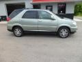 2004 Storm Gray Metallic Buick Rendezvous Ultra AWD  photo #2