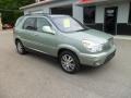 2004 Storm Gray Metallic Buick Rendezvous Ultra AWD  photo #7