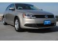 Moonrock Silver Metallic - Jetta TDI Sedan Photo No. 1