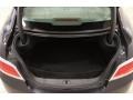 Dark Titanium/Light Titanium Trunk Photo for 2010 Buick LaCrosse #82938660