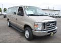 Pueblo Gold Metallic 2011 Ford E Series Van E350 XLT Passenger Exterior