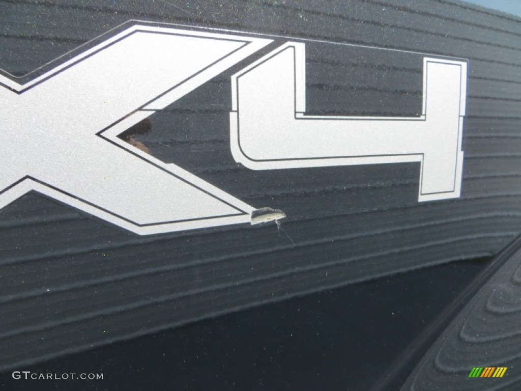 2011 F150 XLT SuperCrew 4x4 - Tuxedo Black Metallic / Steel Gray photo #17