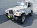 Stone White - Wrangler Sahara 4x4 Photo No. 7