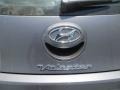 Triathlon Gray - Veloster  Photo No. 12