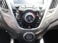 Triathlon Gray - Veloster  Photo No. 27