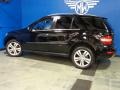 Black - ML 350 4Matic Photo No. 16