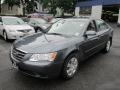 Slate Blue - Sonata GLS Photo No. 3
