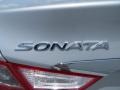 Radiant Silver - Sonata GLS Photo No. 13