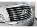 Platinum Graphite - QX 56 4WD Photo No. 10