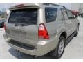 Driftwood Pearl - 4Runner Limited 4x4 Photo No. 39