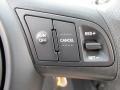 2010 Dark Cherry Kia Forte EX  photo #16